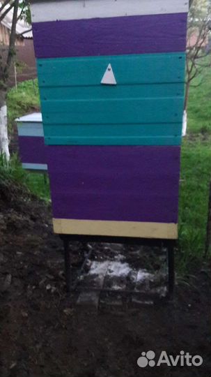 Улей для пчел