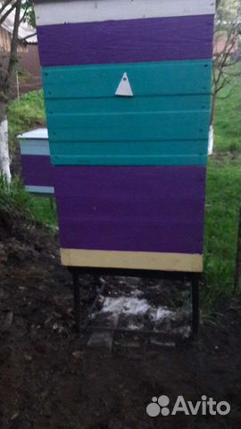 Улей для пчел