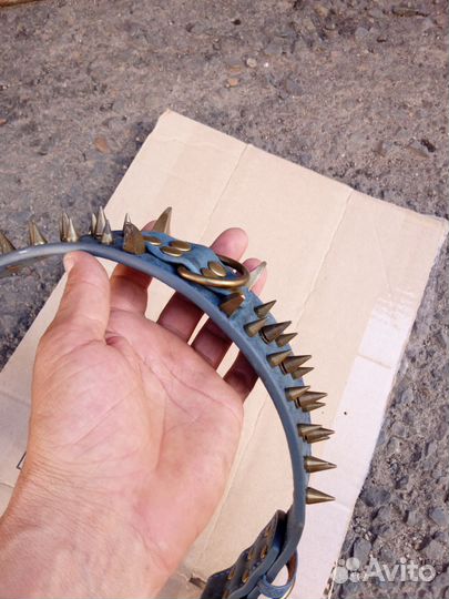 Ошейник для собак