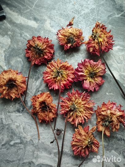 Сухоцветы для творчества эпоксидной смолы картин