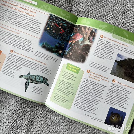 Большая энциклопедия знаний