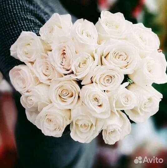 101 роза цветы букеты доставка 25 51 101 роза