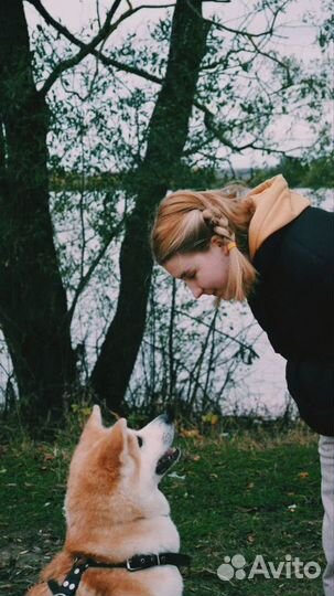 Кинолог с выездом / Дрессировка собак