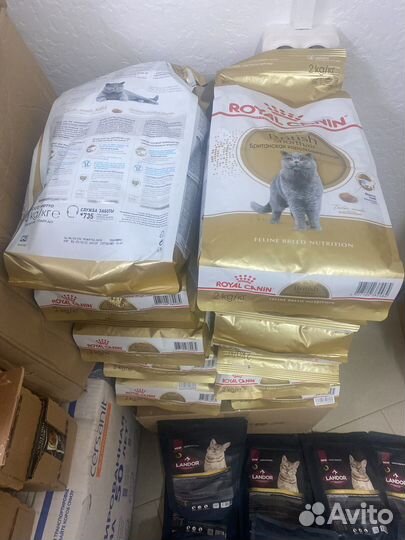 Корм для кошек royal canin british