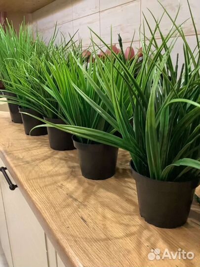 Искусственная трава осока растения IKEA Икея фейка