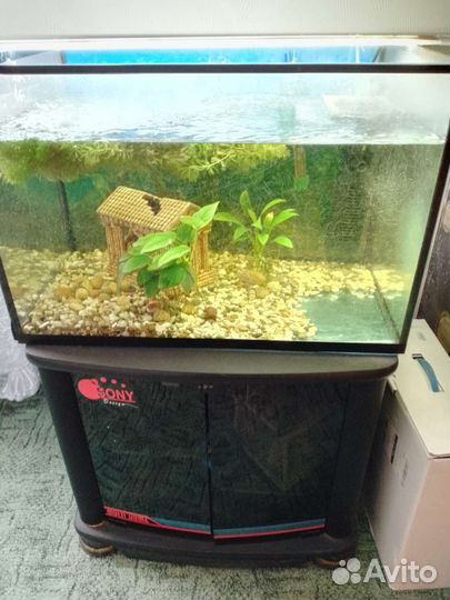 Аквариум 100 литров