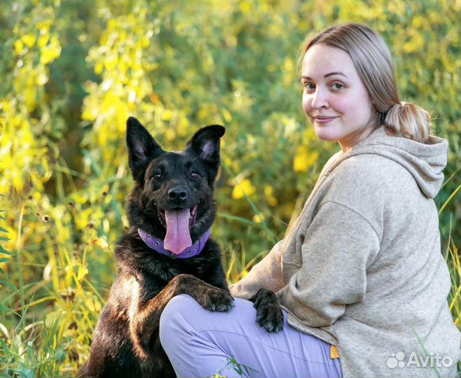 Собака-улыбака из приюта ищет дом