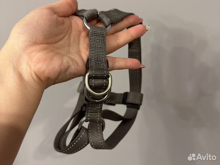 Шлейка для собаки