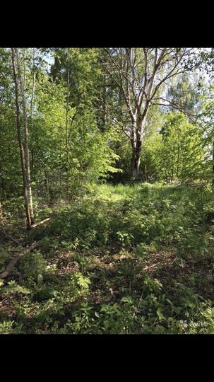 Участок 14 сот. (ИЖС)