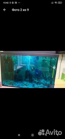 Аквариум