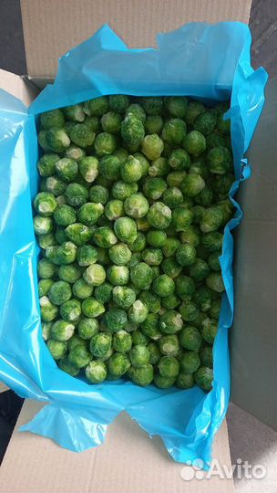 Брюссельская капуста