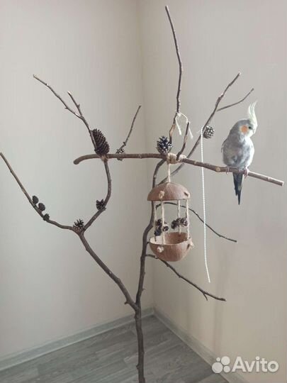 Стенд для птиц