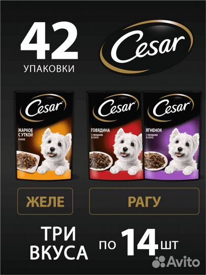 Cesar набор паучей для собак, три вкуса (паучи &qu