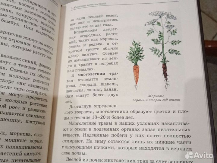 Ботаника 5 класс (ркш)