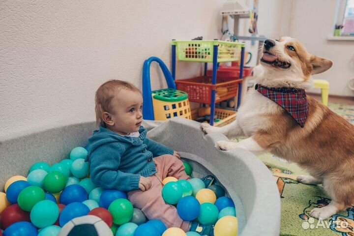 Частный детский сад набор