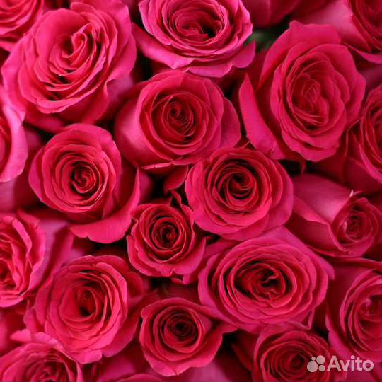 Букет роз Розы с доставкой по Кирову