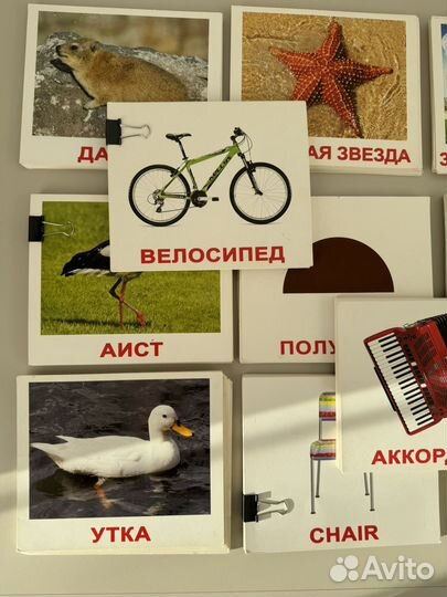 Карточки развивающие Глен Домана