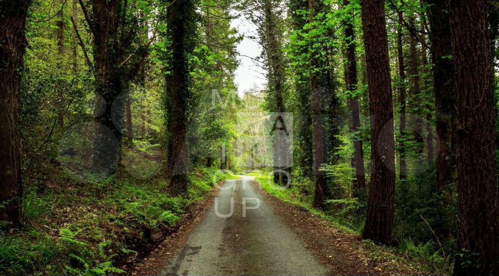 Коттедж 600 м² на участке 20 сот.