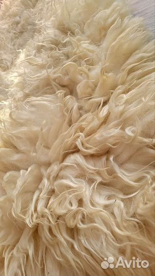 Шкурка животного