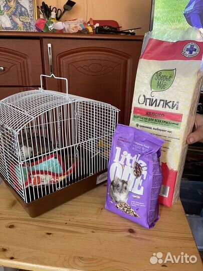 Клетка для джунгарского хомяка