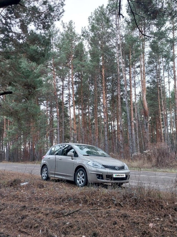 Nissan Tiida: фото владельца