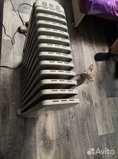 Масляный обогреватель бу