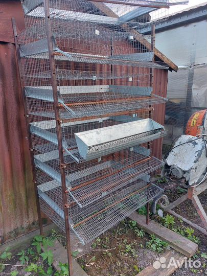 Клетки для перепелов