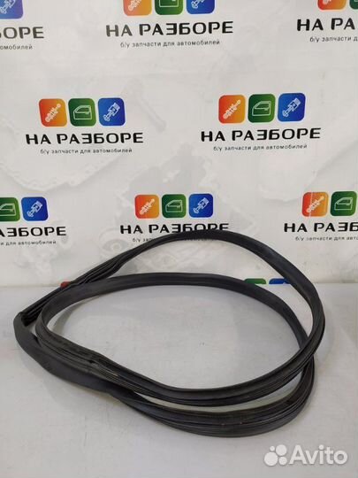 Уплотнительная резинка дверного проема передняя