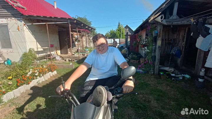 Продам альфу