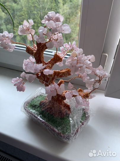 Денежное дерево, розовый кварц, цветущая сакура