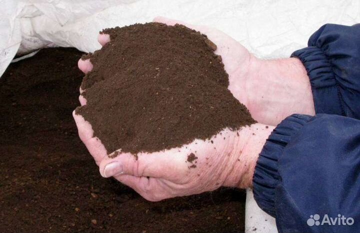 Птичий помёт навоз