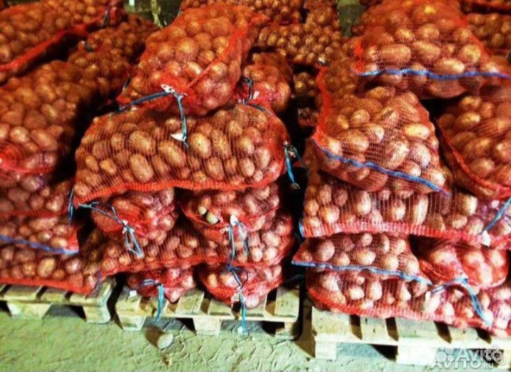 Продаю картофель