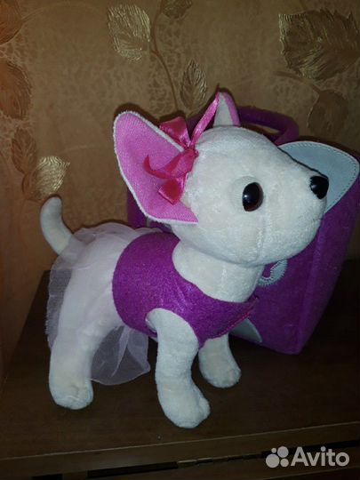 Собачка Чичилав оригинал