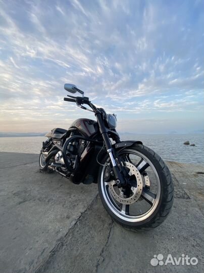Harley Davidson v-rod muscle