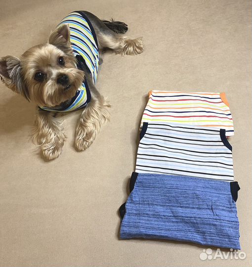 Одежда и аксессуары для животных