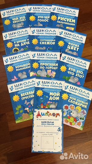 Годовой курс Школа семи гномов 1+