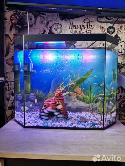 Аквариум