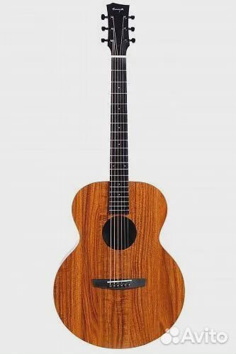 Акустическая гитара Enya EA-X1+ с аксессуарами