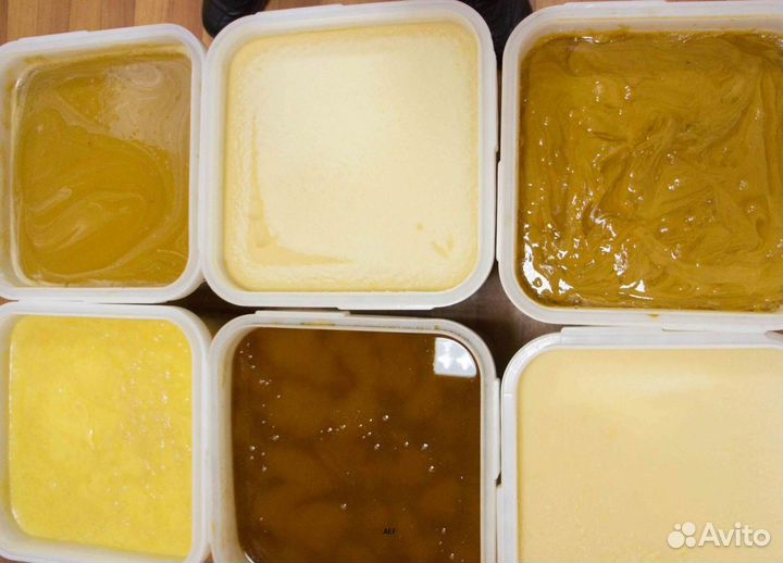 2024 Мёд натуральный из Алтая опт