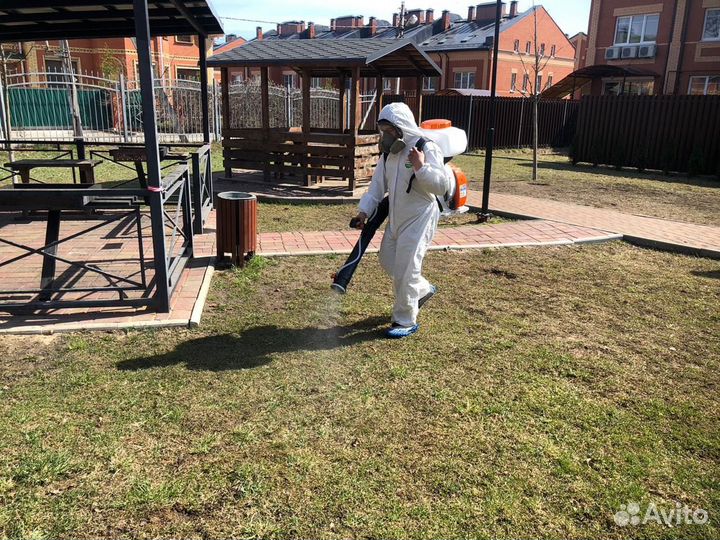 Уничтожение клопов тараканов дезинфекция