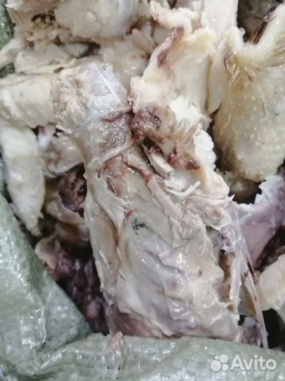 Куриные кости