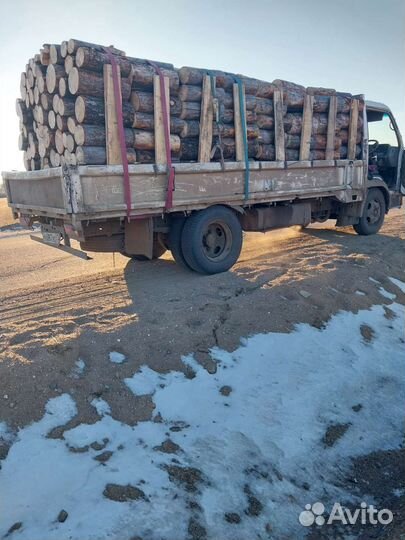 Дрова сухие,сырые. сосна,листвяк,берёза на заказ