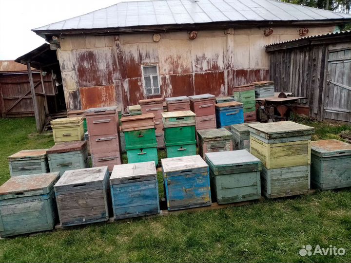 Улей для пчел