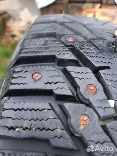Amtel NordMaster Evo 185/65 R15