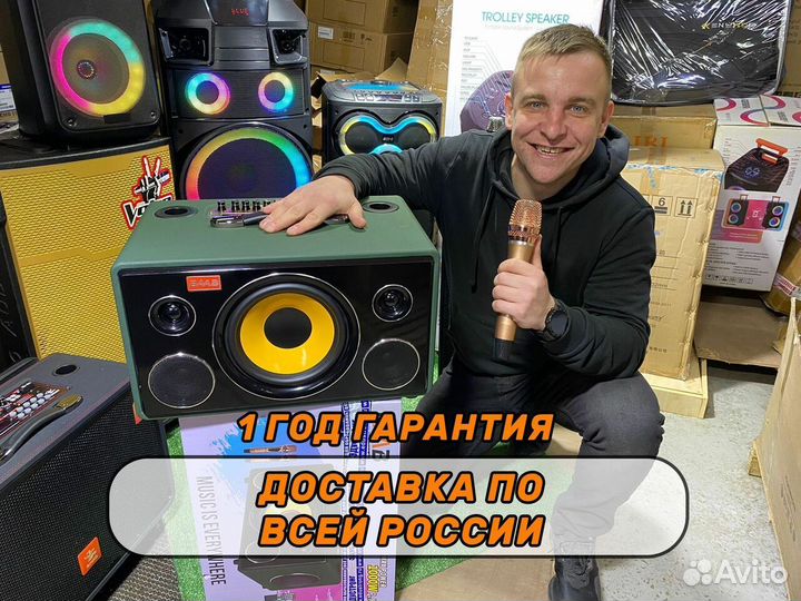 Колонка baab 1000 с караоке и микрофоном