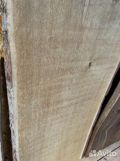 Слэб многовекового дуба