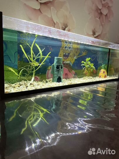 Аквариум с рыбками
