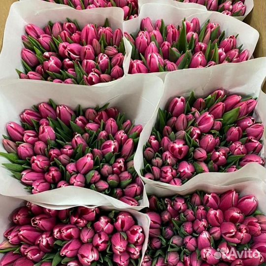 Цветы розы и букеты с доставкой