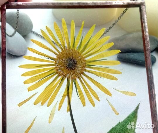 Высушенный цветок в раме handmade