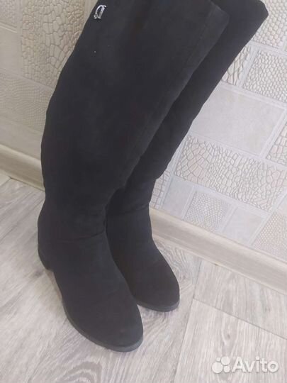 Сапоги женские